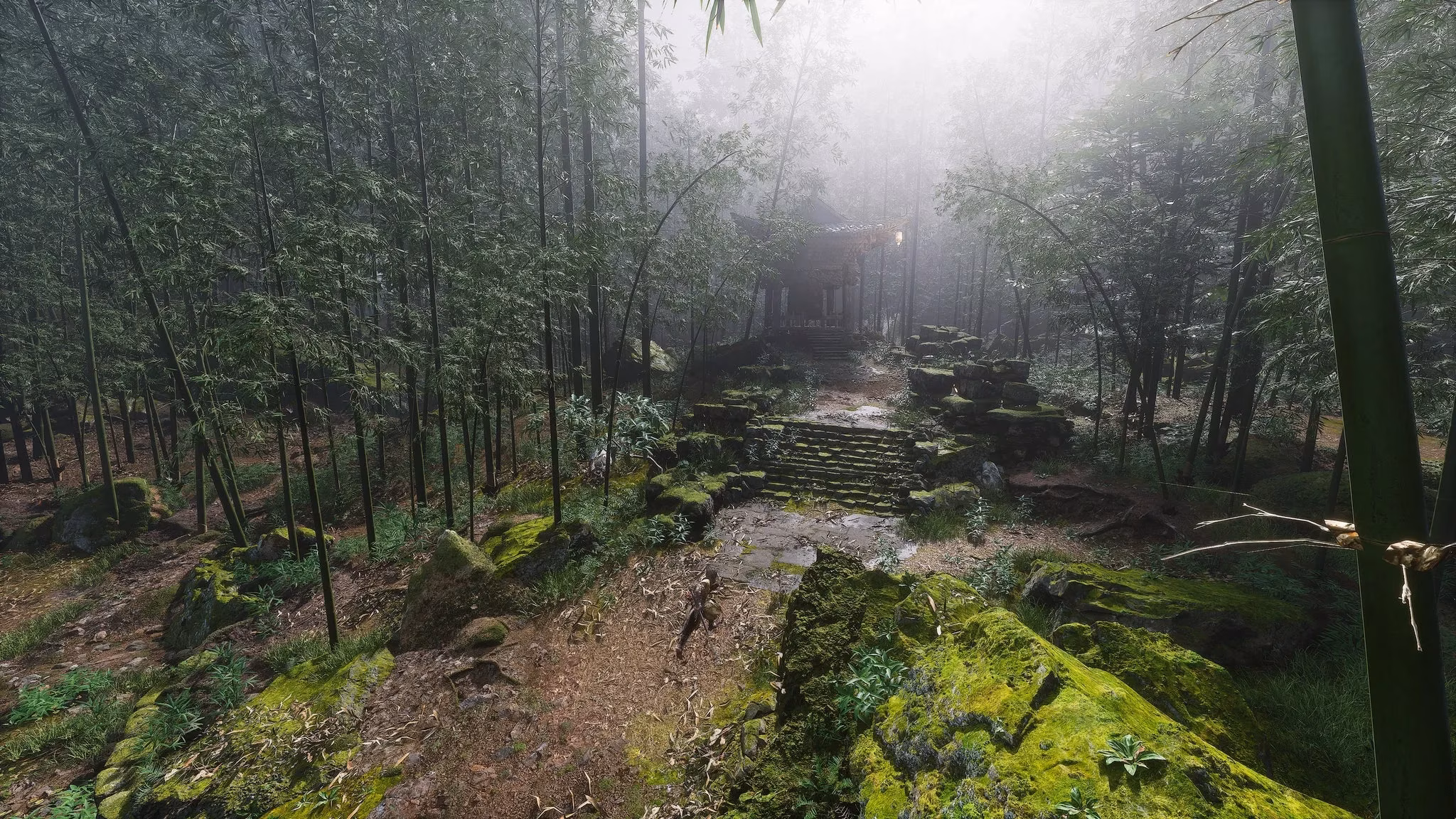 a-complete-guide-to-all-11-bosses-in-chapter-1-of-black-myth-wukong-image-9