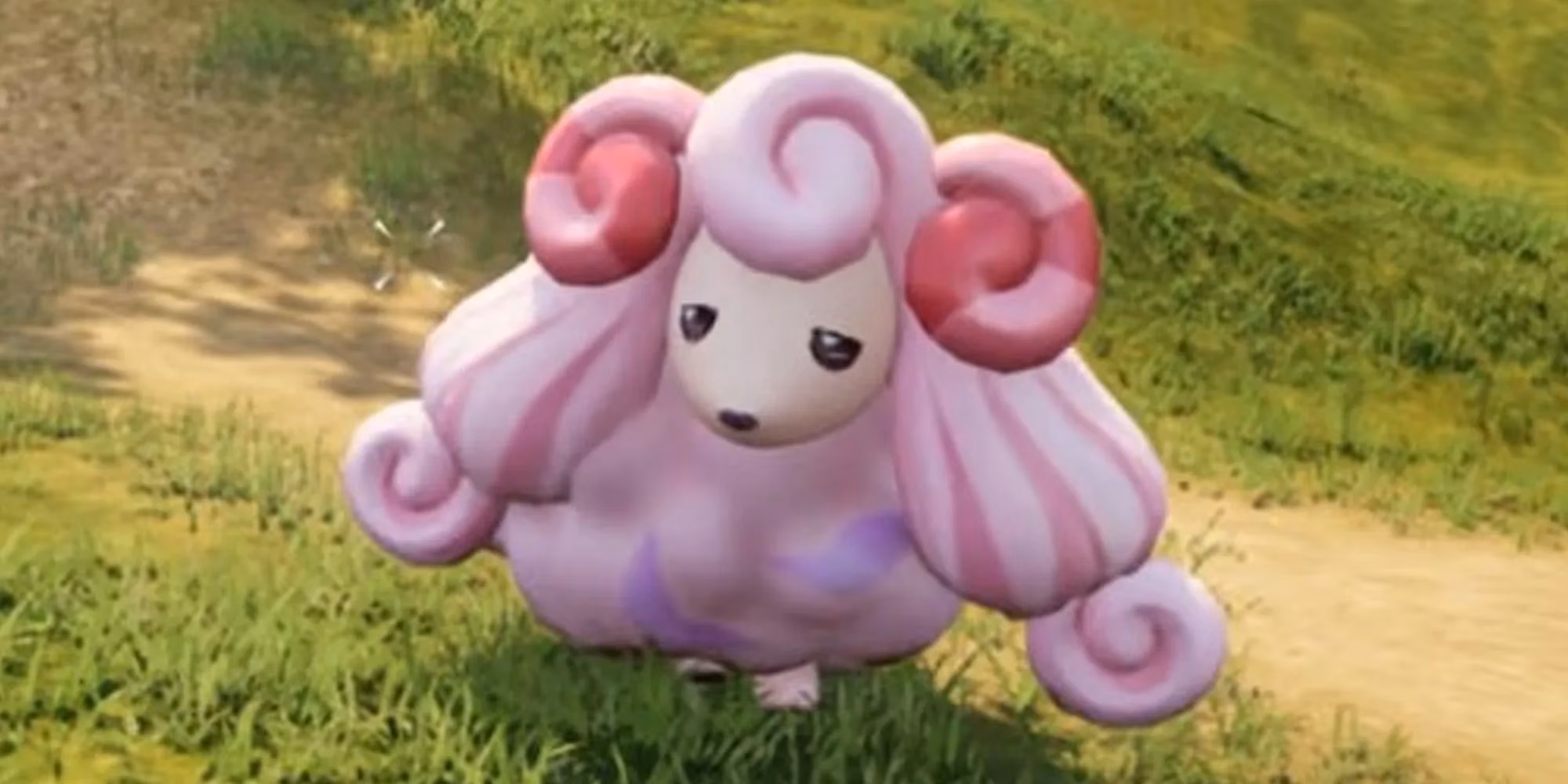 pals-not-worth-the-hassle-a-guide-to-skipping-the-struggle-in-2026-image-10